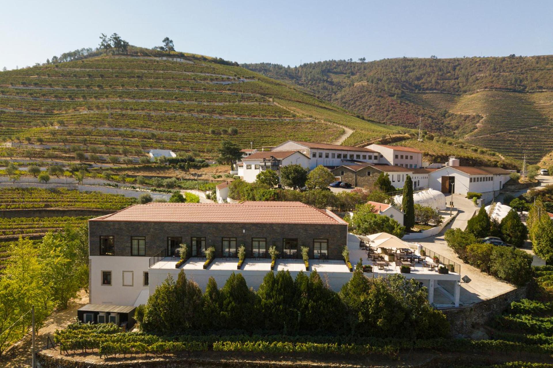 Quinta São Luiz The Vine House Douro