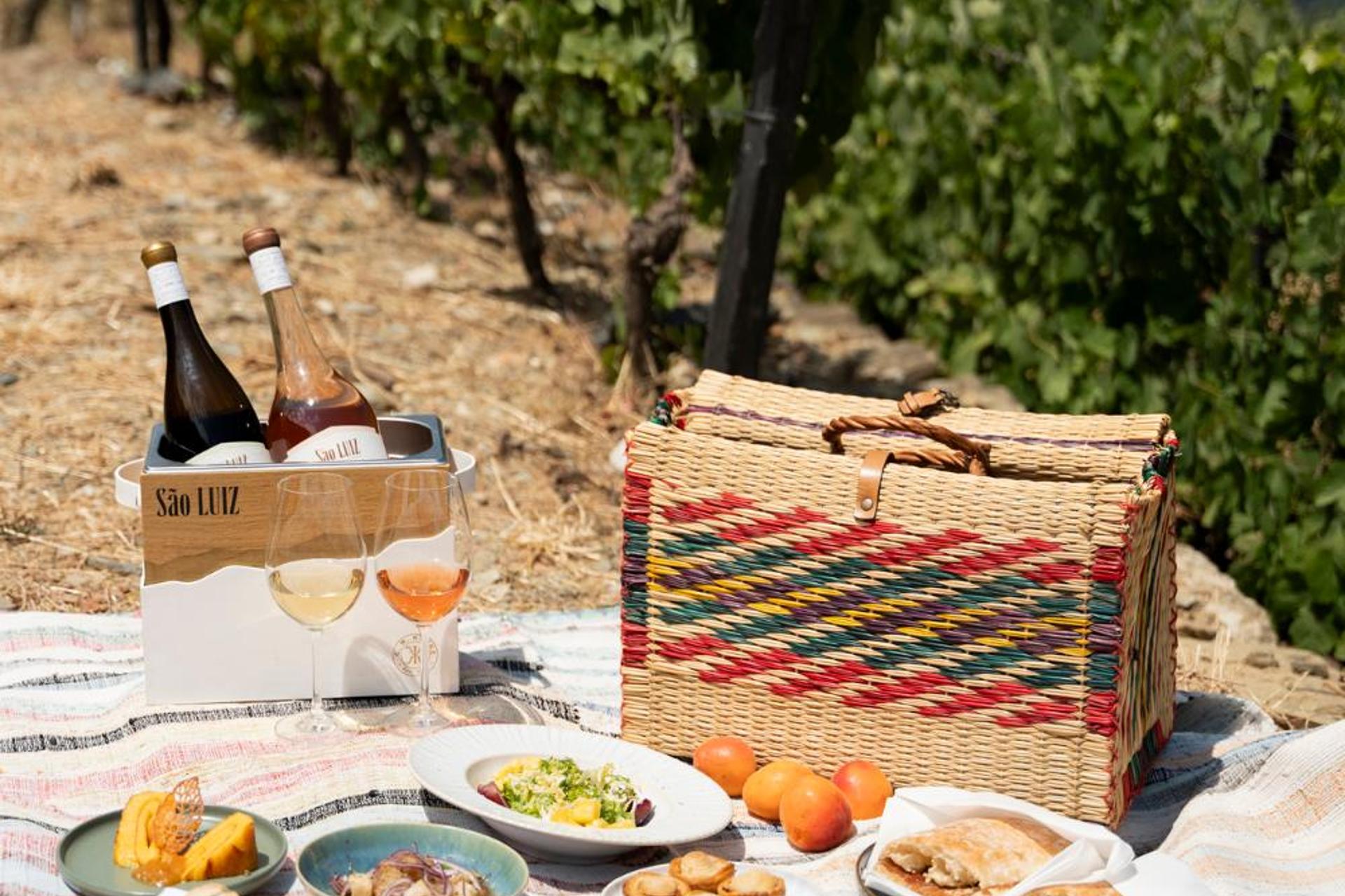 Quinta São Luiz The Vine House Douro