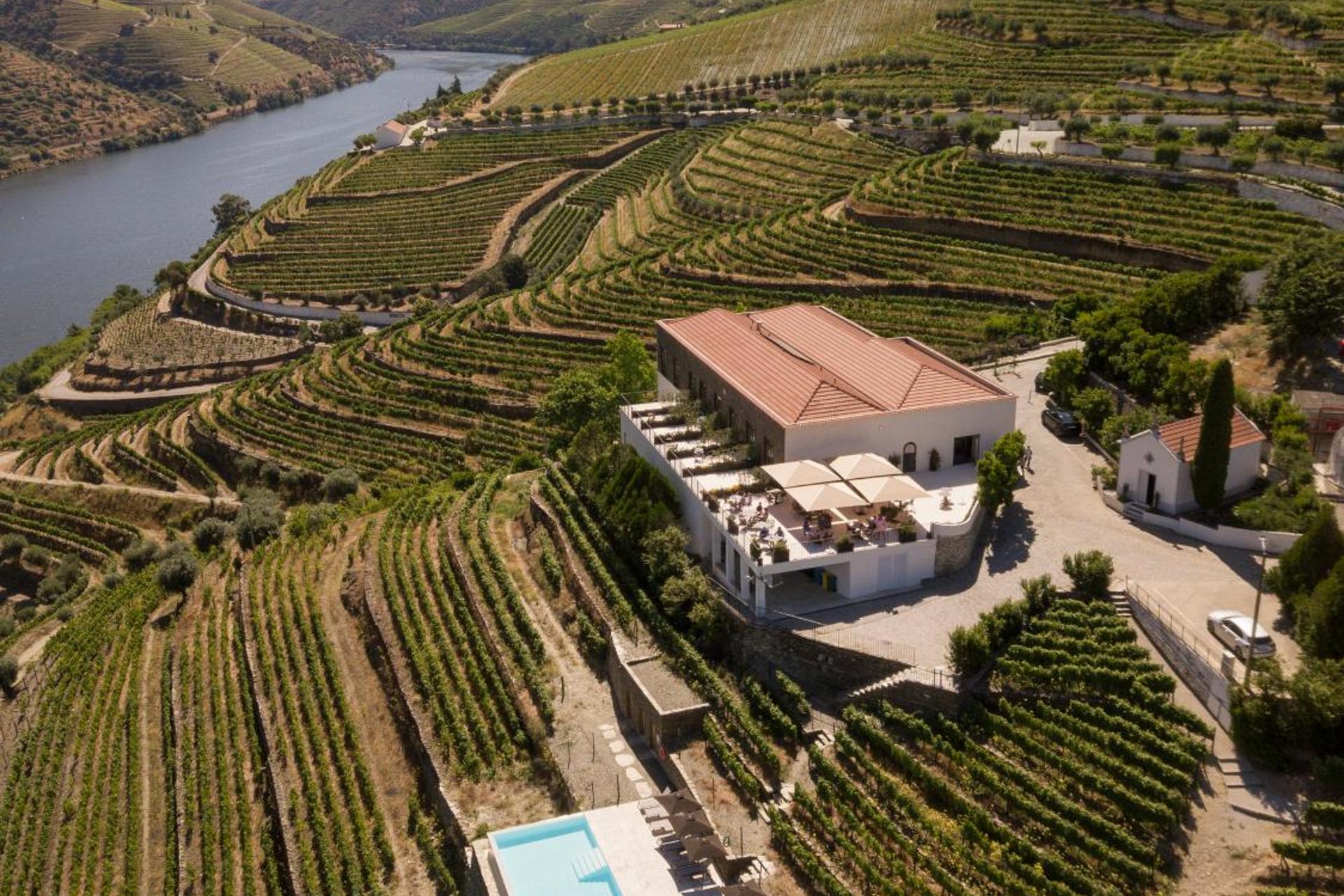 Quinta São Luiz The Vine House Douro