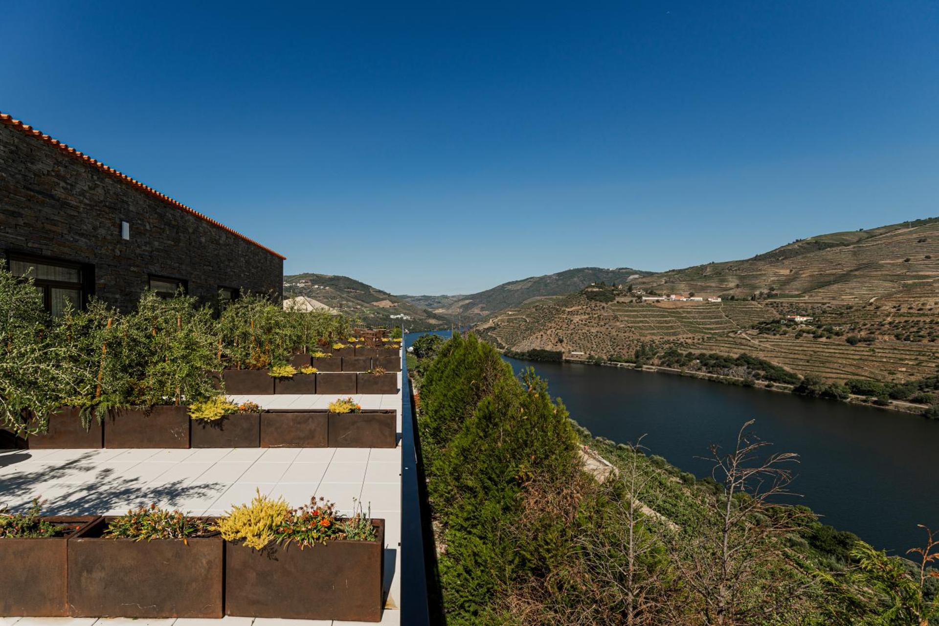 Quinta São Luiz The Vine House Douro