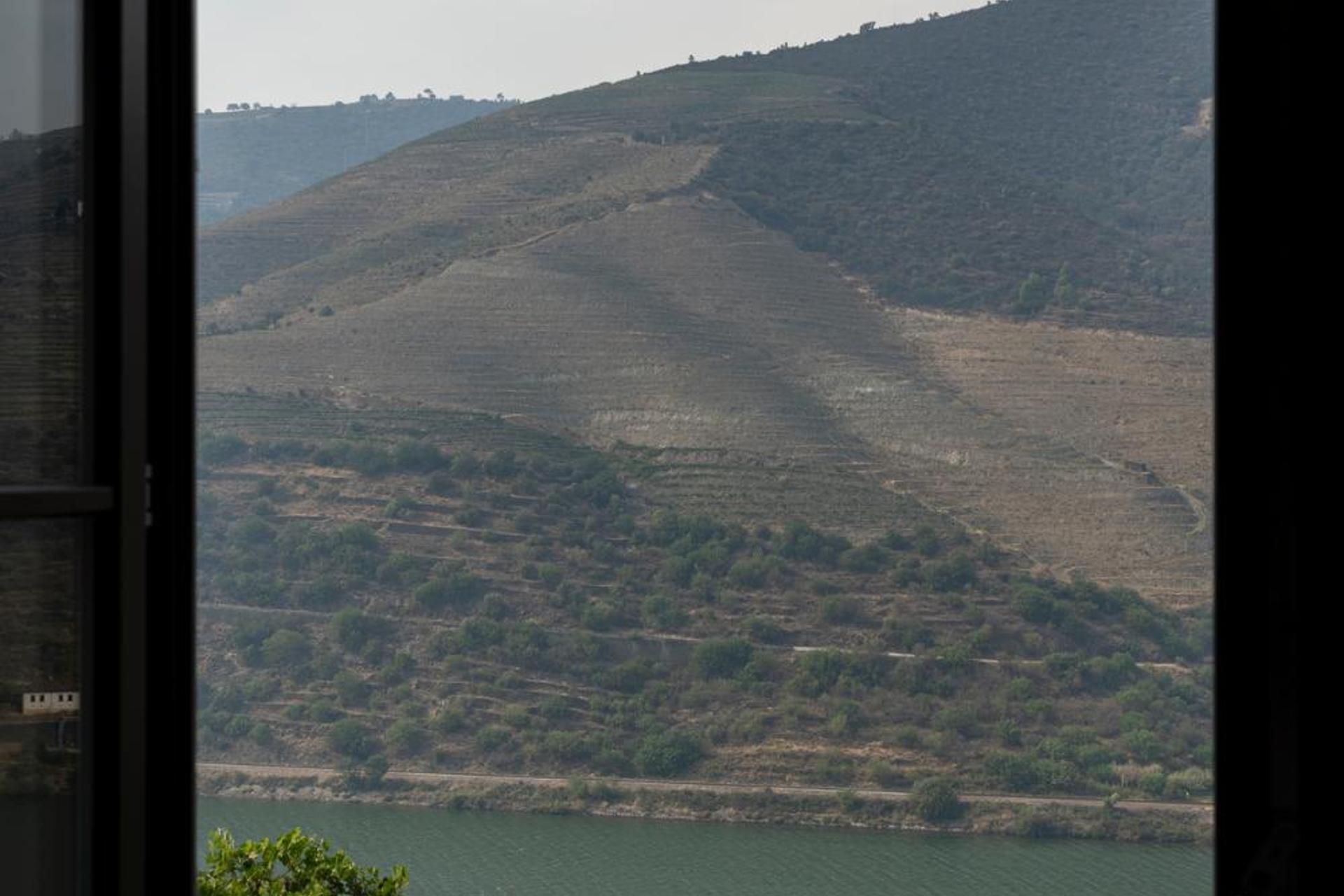 Quinta São Luiz The Vine House Douro